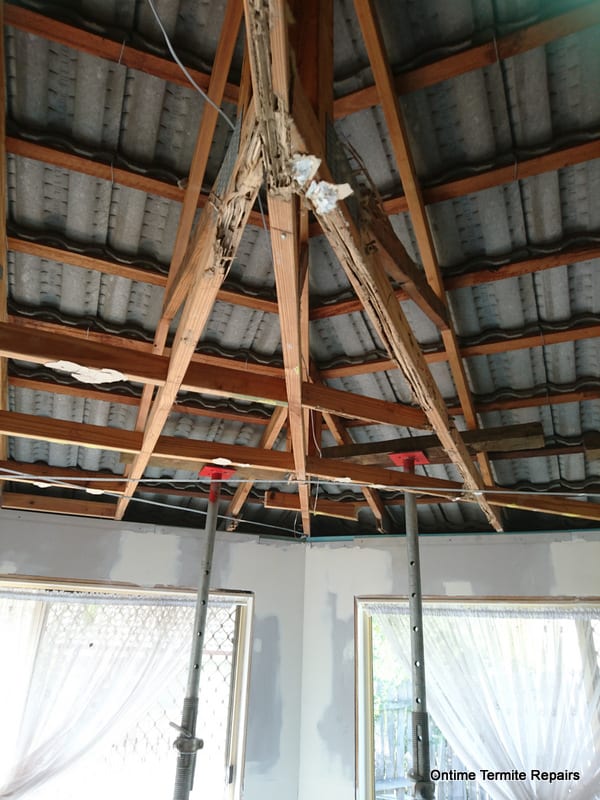 Termite-eaten roof trusses propped up before repair, Brisbane